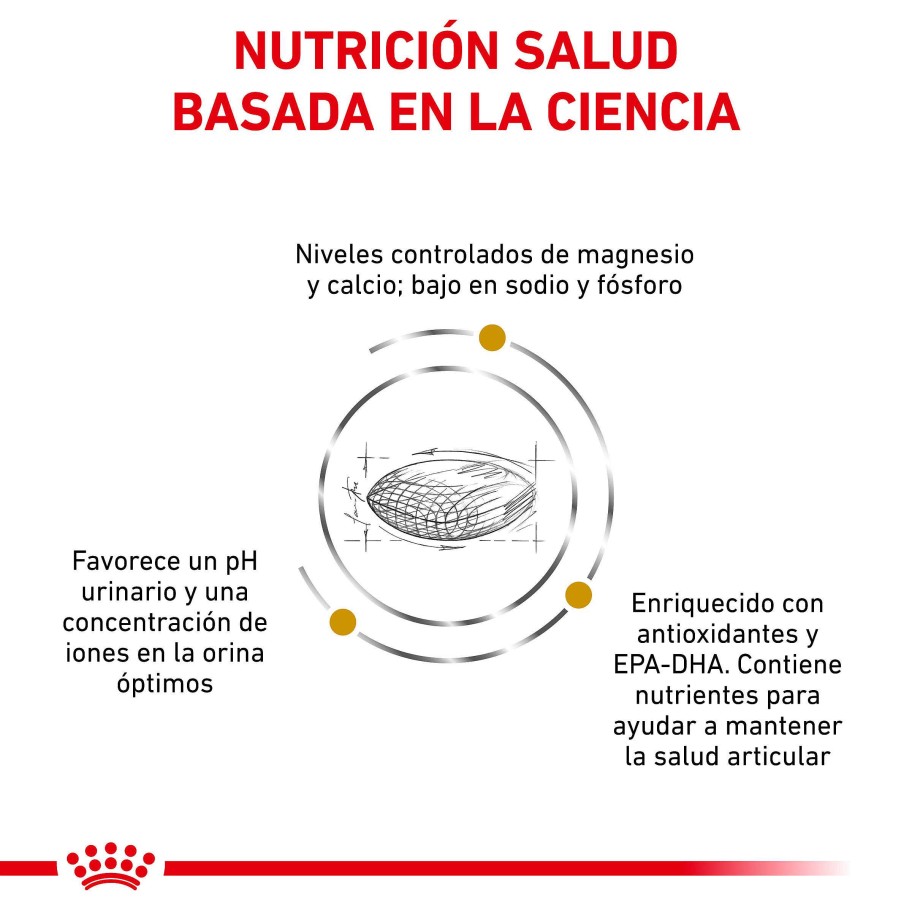 Perros Royal Canin | Royal Canin Urinary S/O Ageing 7+ Alimento Seco Para Perros S Nior