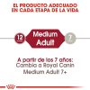 Perros Royal Canin | Royal Canin Medium Adult Pienso Para Perro Adulto De Razas Tama O Mediana