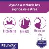 Gatos Ceva | Feliway Help! - Ayuda A Tu Gato Frente A Situaciones De Estr S Ocasional