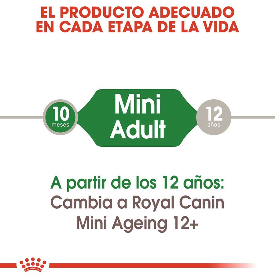 Perros Royal Canin | Royal Canin Mini Adult Comida H Meda Para Perro Adulto De Razas Tama O Peque O