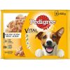 Perros Pedigree | Pedigree Comida H Meda Para Perros En Gelatina Sabores Pollo Y Cordero