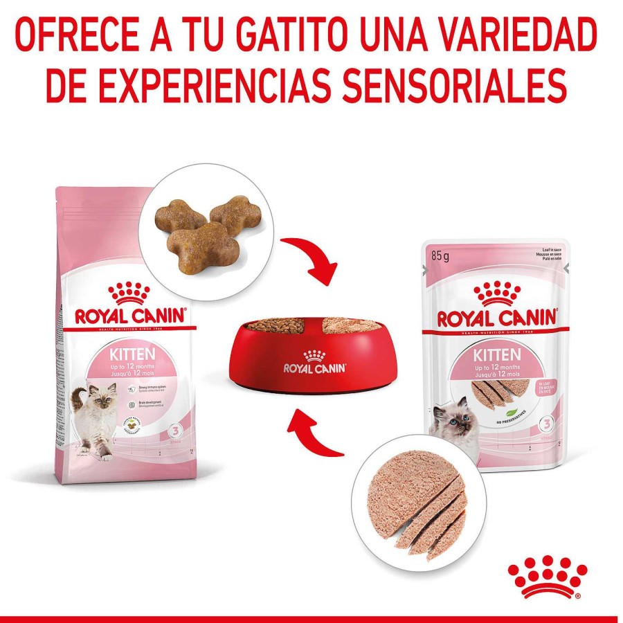 Gatos Royal Canin | Royal Canin Kitten Comida H Meda En Pat Para Gatitos