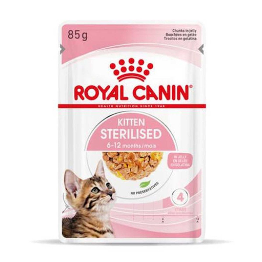 Gatos Royal Canin | Royal Canin Kitten Sterilised Comida H Meda En Gelatina Para Gatitos Esterilizados