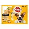 Perros Pedigree | Pedigree Comida H Meda Perros Sabor Pollo Y Buey Con Verduras En Salsa