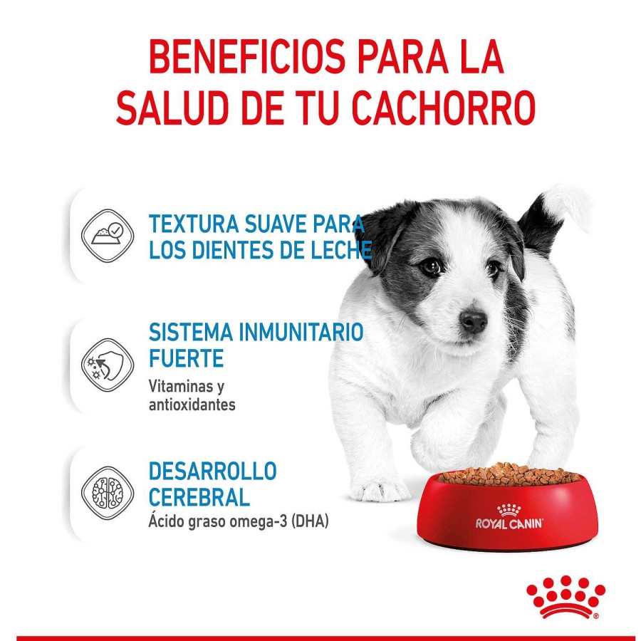 Perros Royal Canin | Royal Canin Mini Puppy Comida H Meda Para Cachorro De Razas Tama O Peque O