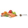 Perros Picart | Select Mini Adult Salmon & Rice