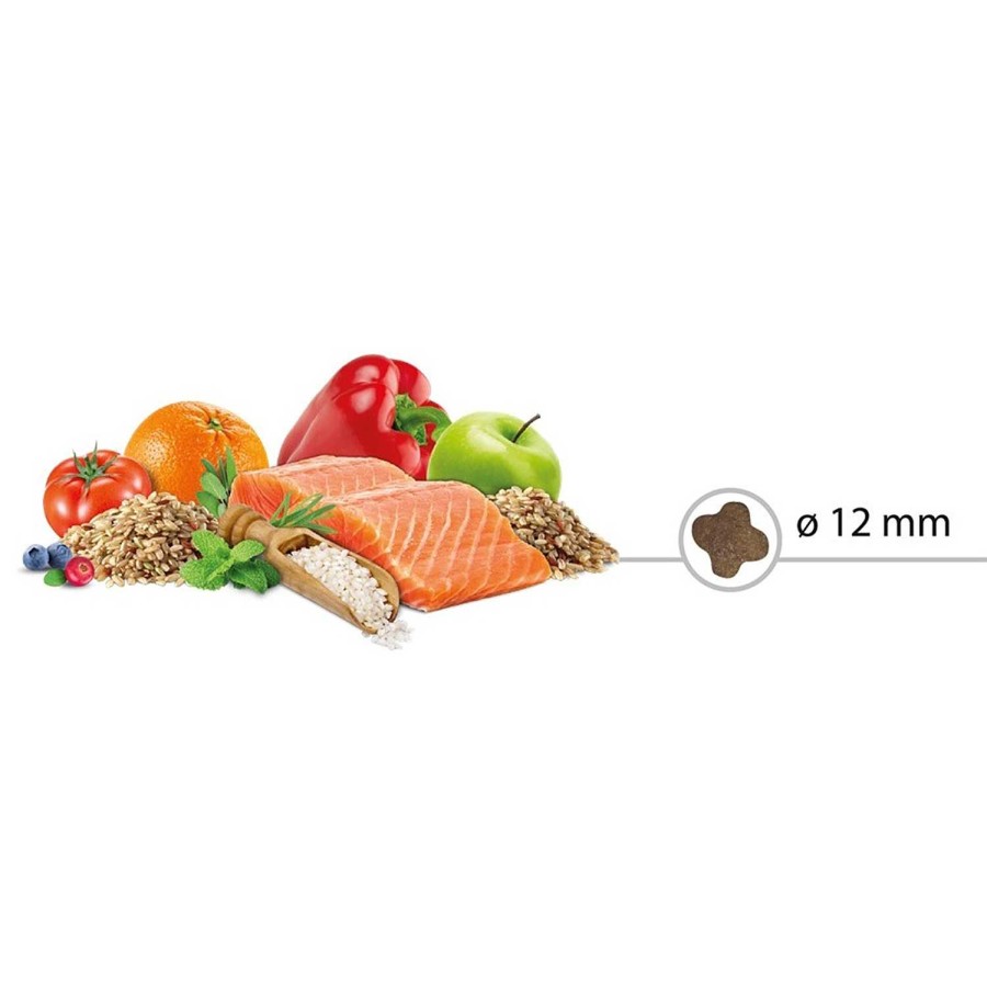 Perros Picart | Select Mini Adult Salmon & Rice