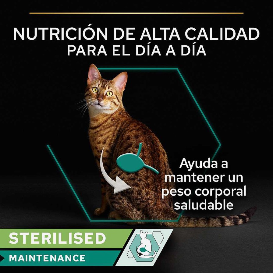 Gatos Purina Pro Plan | Purina Pro Plan Gato Adulto Lata Sterilised Maintenance Terrina Con At N Y Salm N