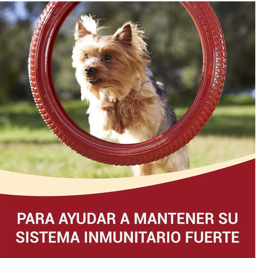 Perros Purina One | Purina One Perro Adulto Pollo Y Buey En Salsa