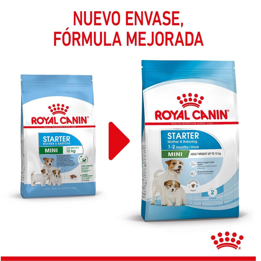 Perros Royal Canin | Royal Canin Mini Starter Pienso Para Cachorros Y Madres Lactantes De Razas Tama O Peque A