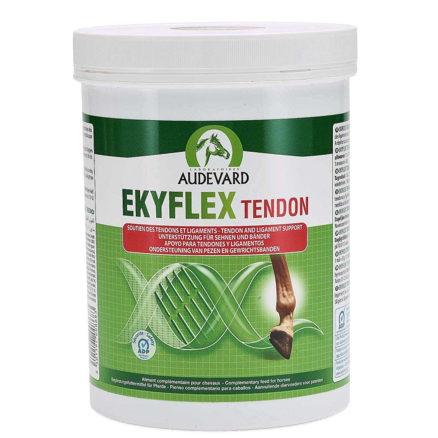 Caballos Audevard | Audevard Ekyflex Tendon