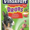 Roedores Vitakraft | Vitakraft Drops Waldbeere