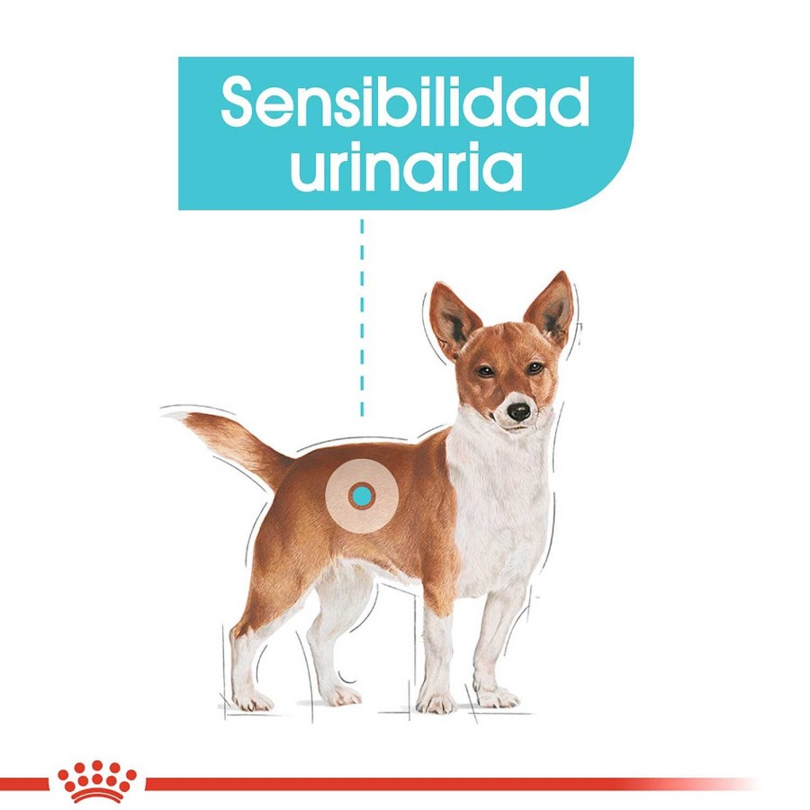 Perros Royal Canin | Royal Canin Urinary Care Comida H Meda Para Perro Adulto Con Sensibilidad Urinaria