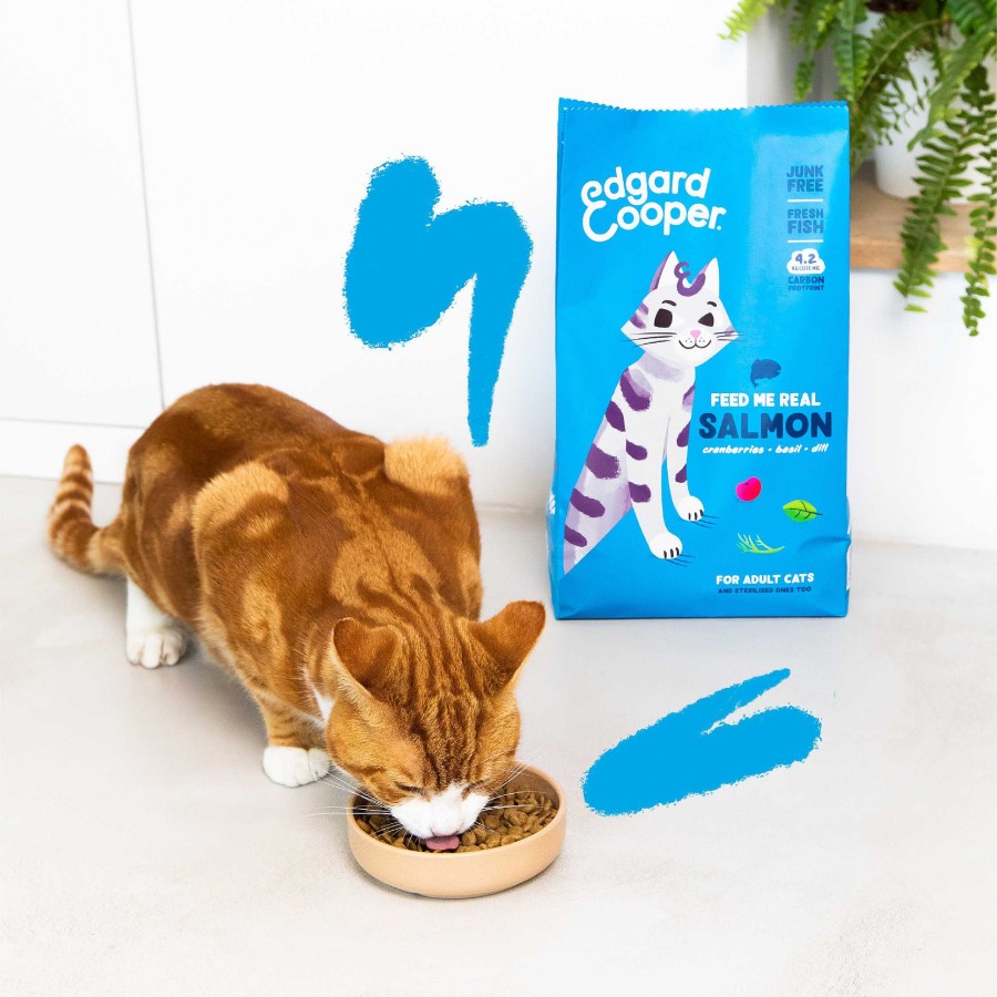 Gatos Edgard & Cooper | Edgard & Cooper, Pienso Sin Cereales Con Salm N Fresco Para Gatos Adultos