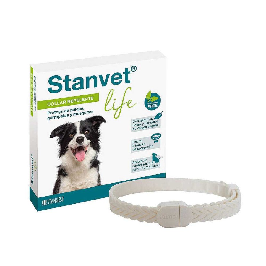 Perros Stangest | Collar Stanvet Life Perro