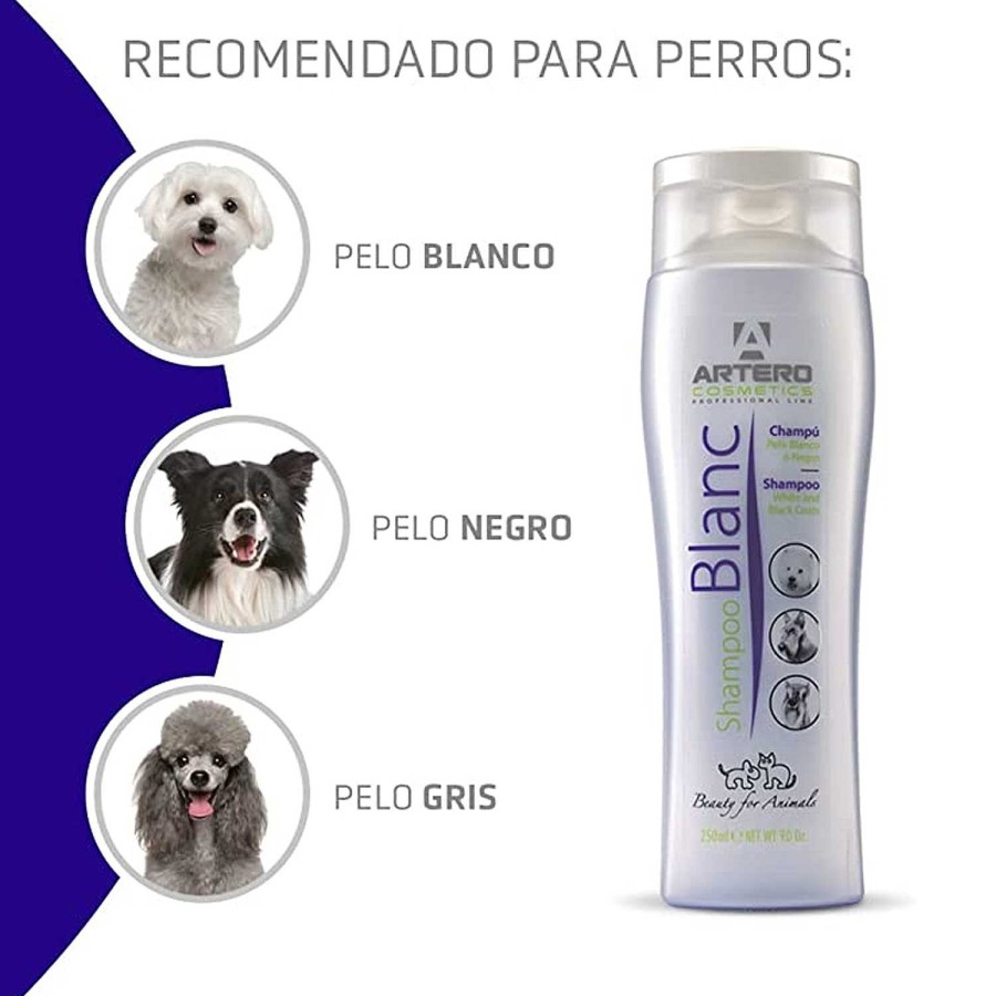 Perros Artero | Champ Artero Blanc