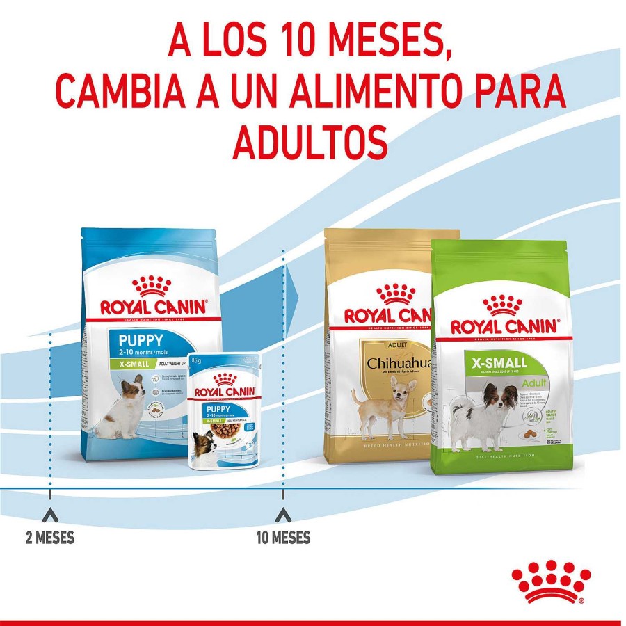 Perros Royal Canin | Royal Canin X-Small Puppy Pienso Para Cachorros De Razas Tama O Miniatura