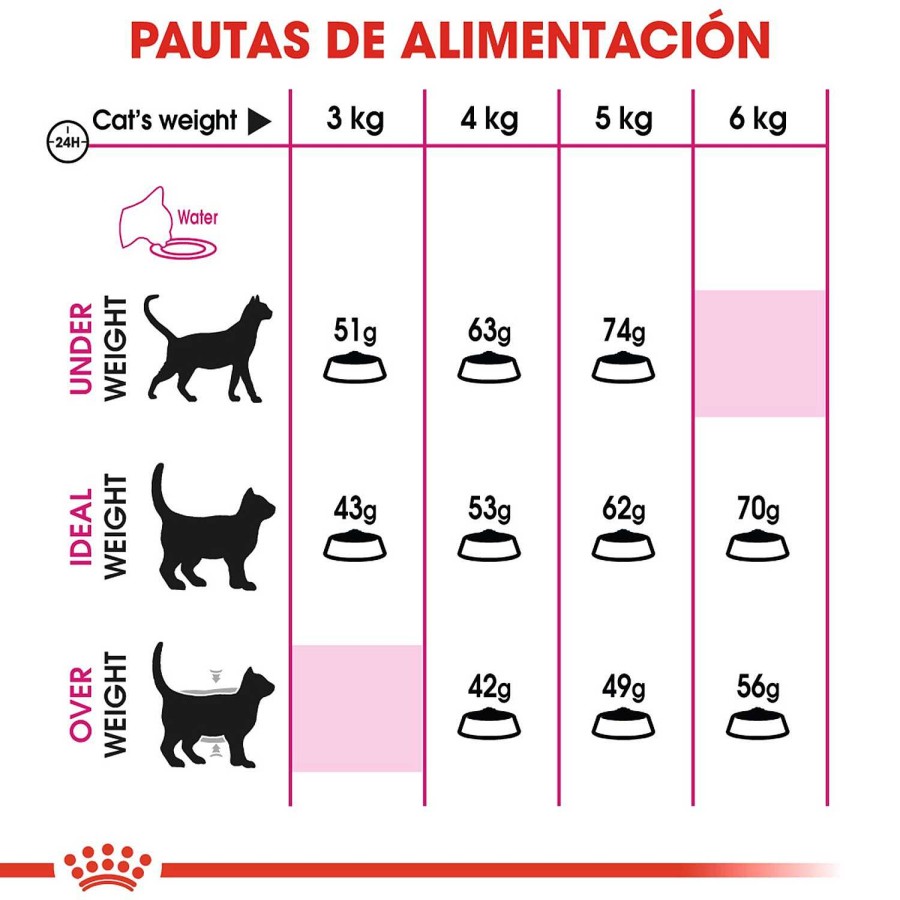 Gatos Royal Canin | Royal Canin Savour Exigent Pienso Para Gato Adulto Exigente