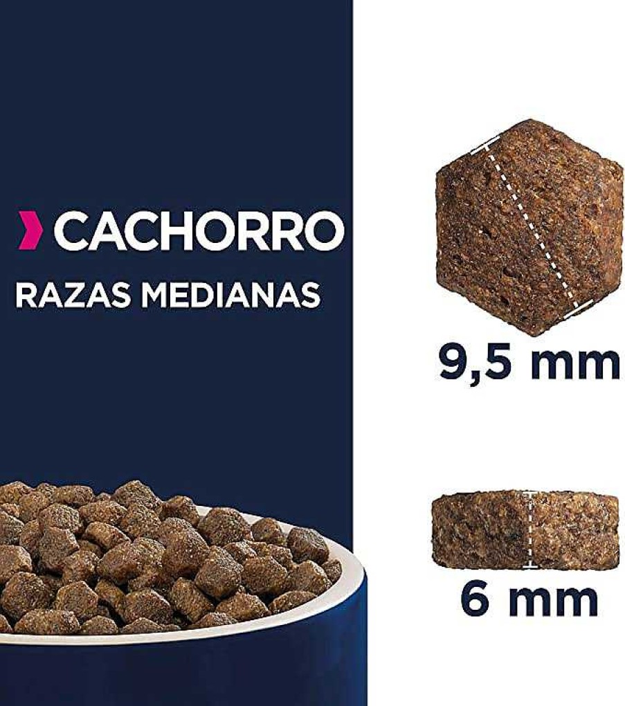 Perros Eukanuba | Eukanuba Alimento Seco Para Cachorros De Raza Mediana, Rico En Pollo Fresco