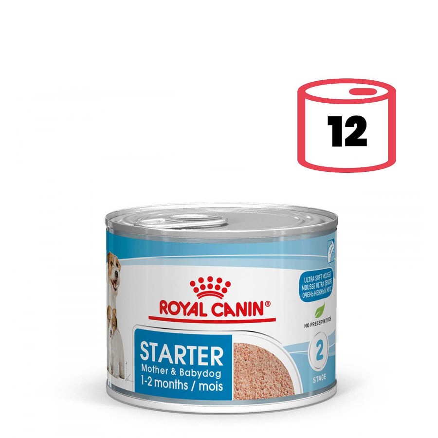 Perros Royal Canin | Royal Canin Starter Mousse Comida H Meda Para Cachorro De Primera Edad