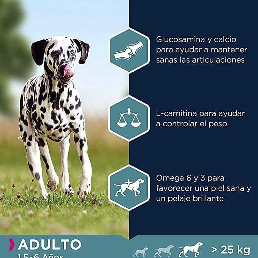 Perros Eukanuba | Eukanuba Alimento Seco Para Perros Adultos De Razas Grandes, Rico En Salm N Y Cebada