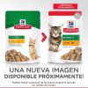 Gatos Hill´s | Hill'S Science Plan Alimento H Medo Gatitos Sabor Pollo - Bolsita