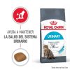 Gatos Royal Canin | Royal Canin Urinary Care Pienso Gato Adulto De Sensibilidad Urinaria