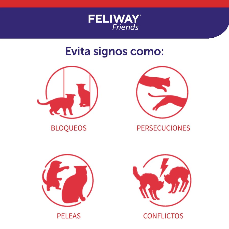 Gatos Ceva | Feliway Friends - Convivencia En Armon A