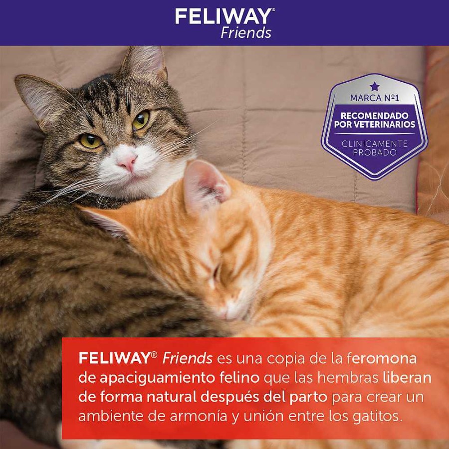 Gatos Ceva | Feliway Friends - Convivencia En Armon A