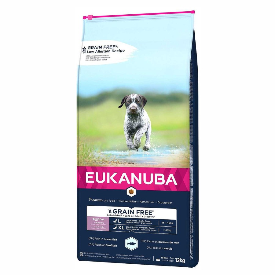 Perros Eukanuba | Eukanuba Puppy Large Breed Grain Free Dog