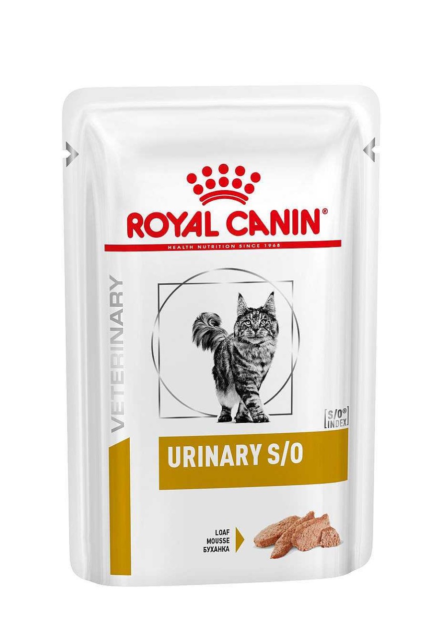 Gatos Royal Canin | Royal Canin Urinary S/O Alimento H Medo Para Gatos En Pat