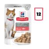 Gatos Hill´s | Hill'S Science Plan Feline Sterilized Cat Salm N (Bolsita)