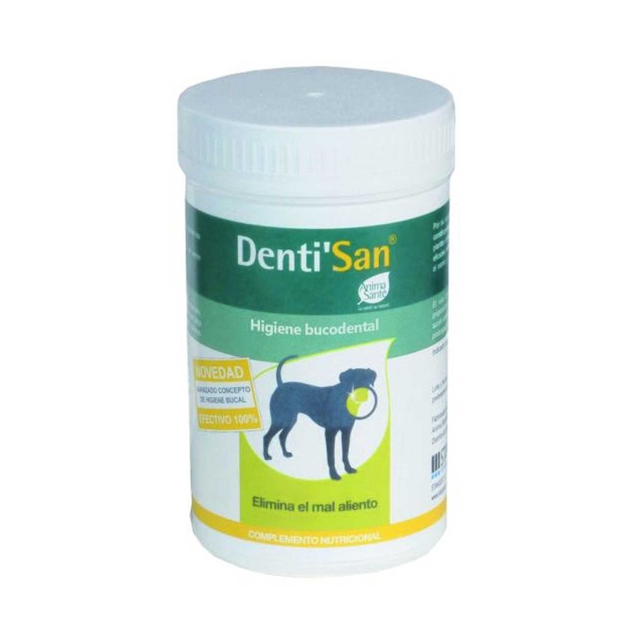 Perros Stangest | Denti'San