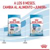 Perros Royal Canin | Royal Canin Giant Starter Pienso Para Cachorros Y Madres Lactantes De Razas Tama O Gigante