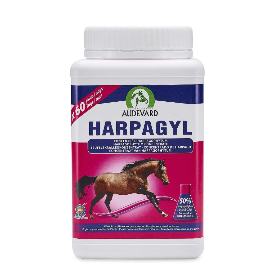 Caballos Audevard | Audevard Harpagyl