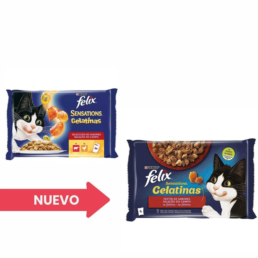 Gatos Felix | Purina Felix Sensation Gelatinas Selecci N De Carnes