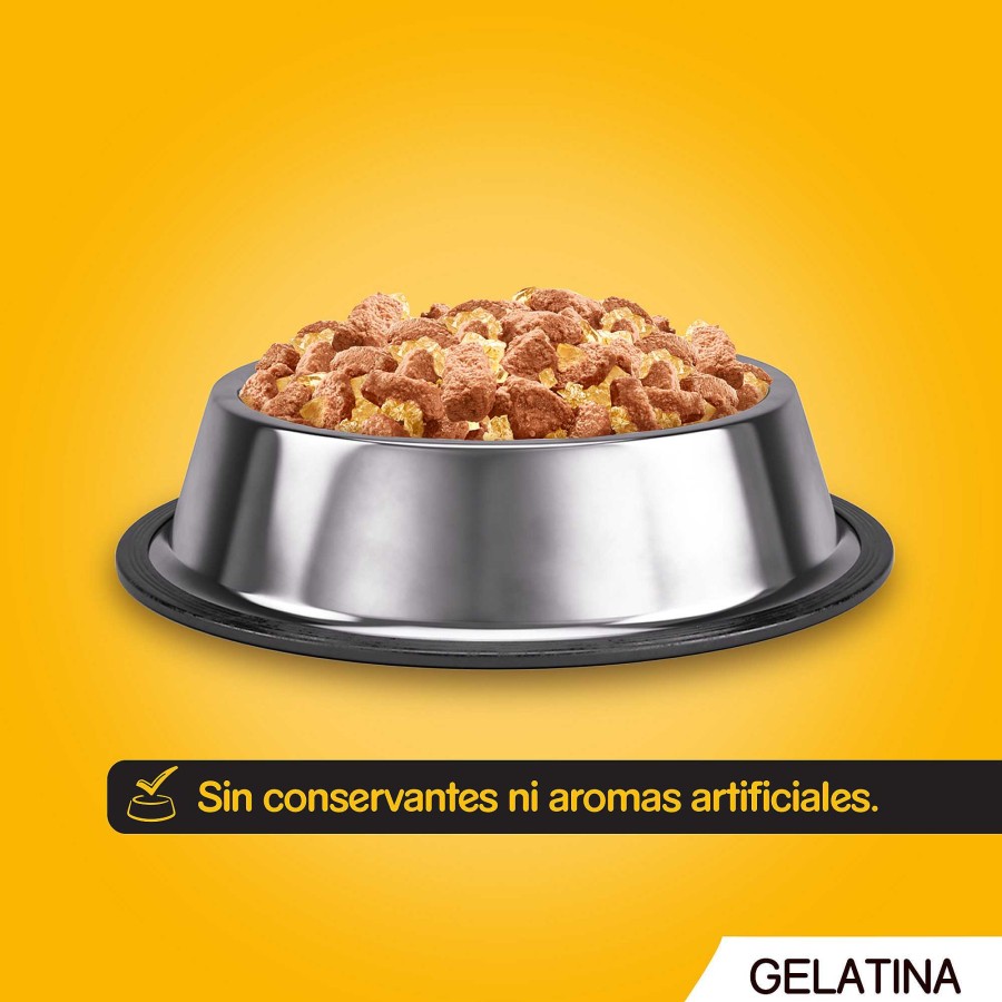 Perros Pedigree | Pedigree Comida H Meda Para Perros En Gelatina Sabores Pollo Y Cordero