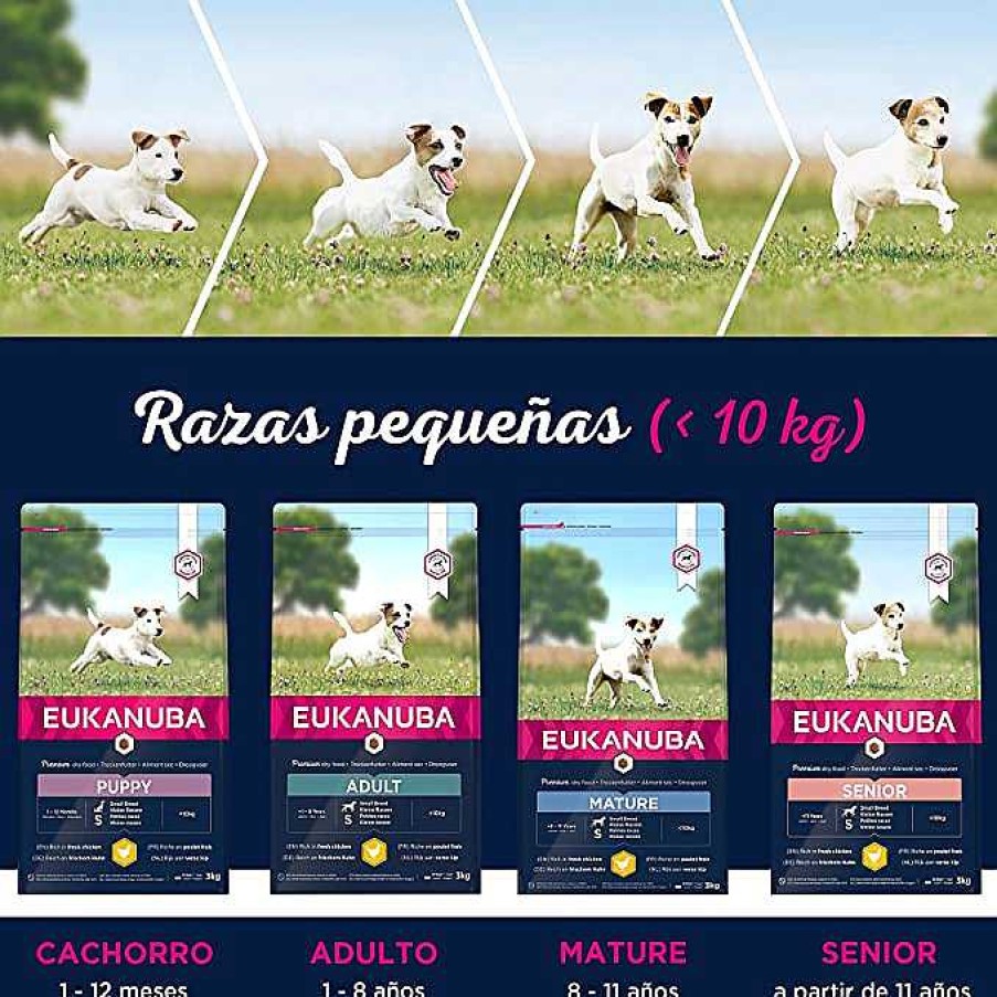 Perros Eukanuba | Eukanuba Alimento Seco Para Perros Senior De Raza Peque A, Rico En Pollo Fresco