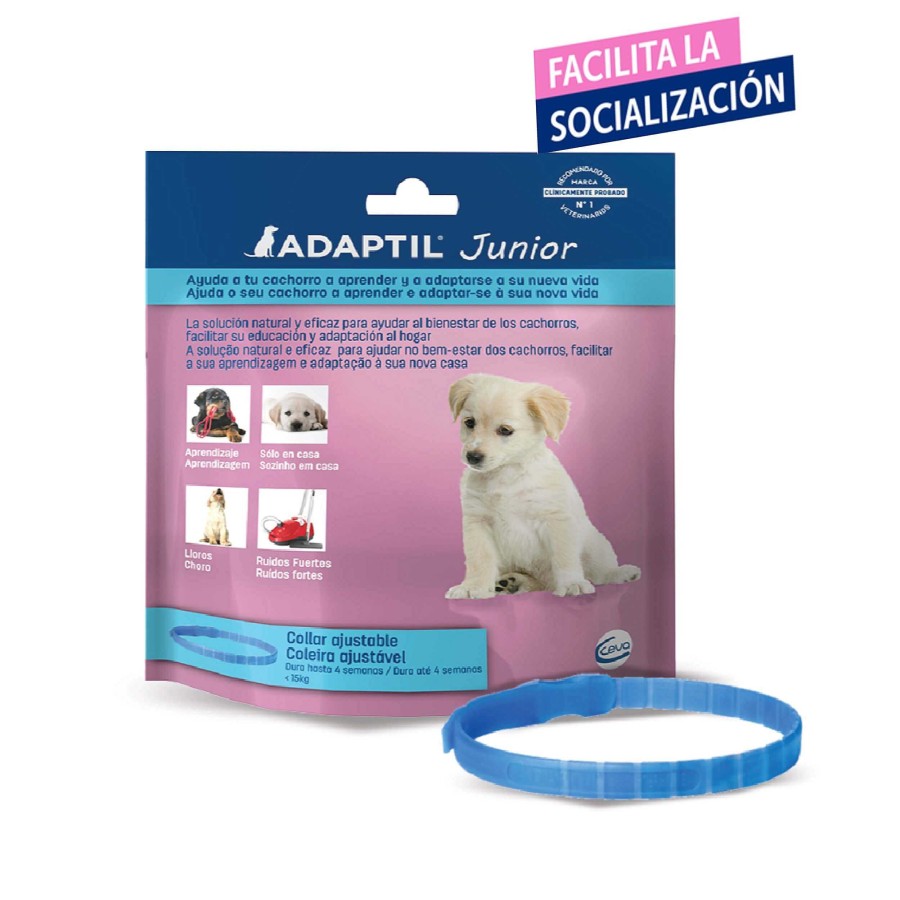 Perros Ceva | Adaptil Junior Collar