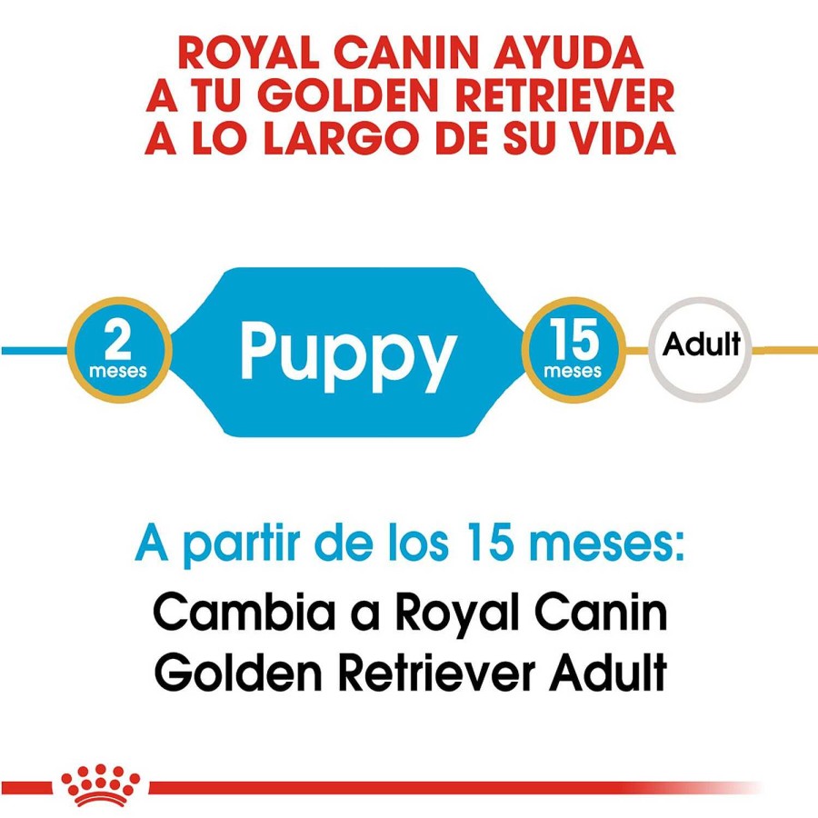 Perros Royal Canin | Royal Canin Golden Retriever Puppy Pienso Para Cachorro De Raza