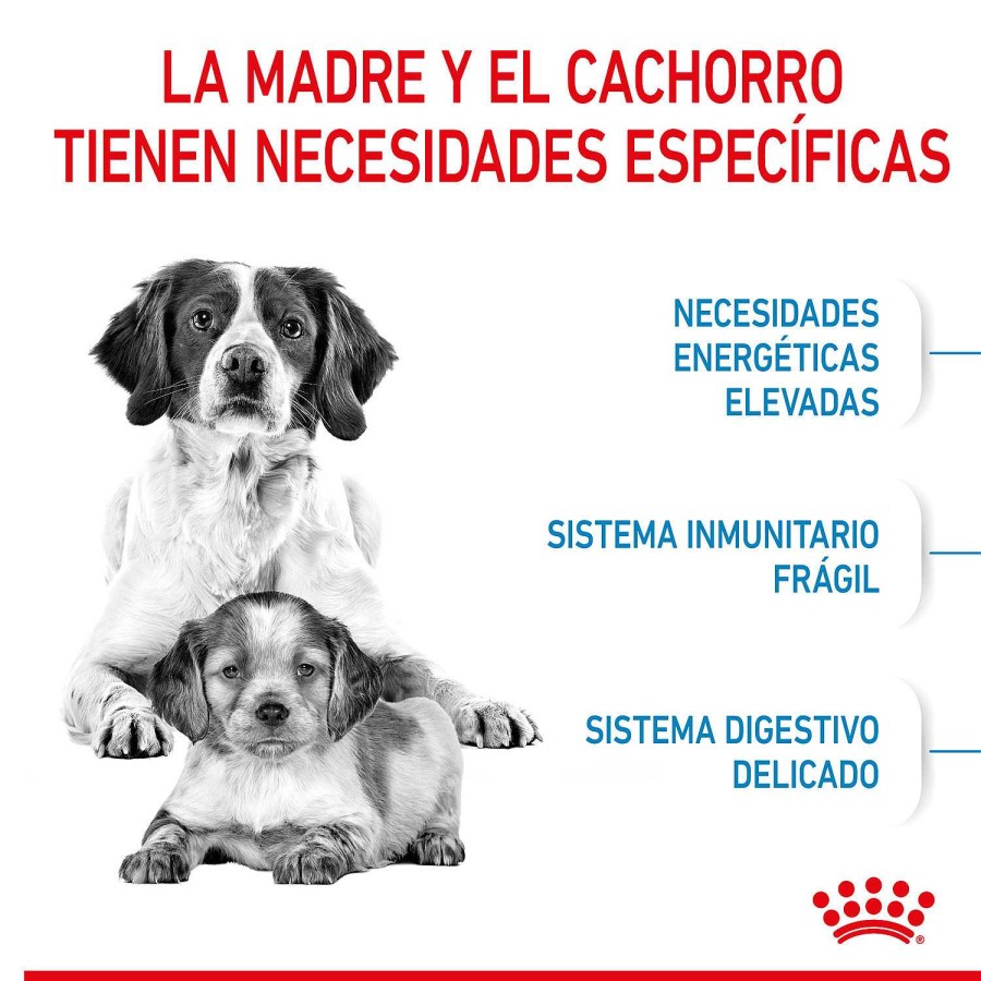 Perros Royal Canin | Royal Canin Medium Starter Pienso Para Cachorros Y Madres Lactantes De Razas Tama O Mediana