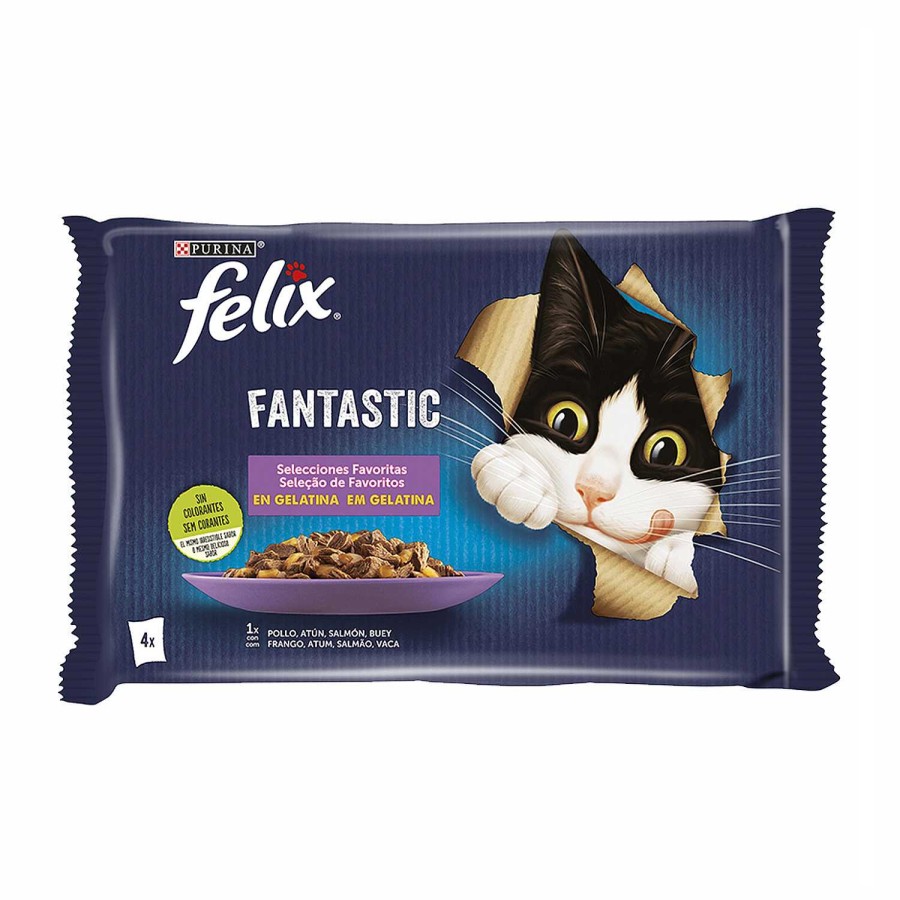 Gatos Felix | Purina Felix Selecciones Favoritas En Gelatina