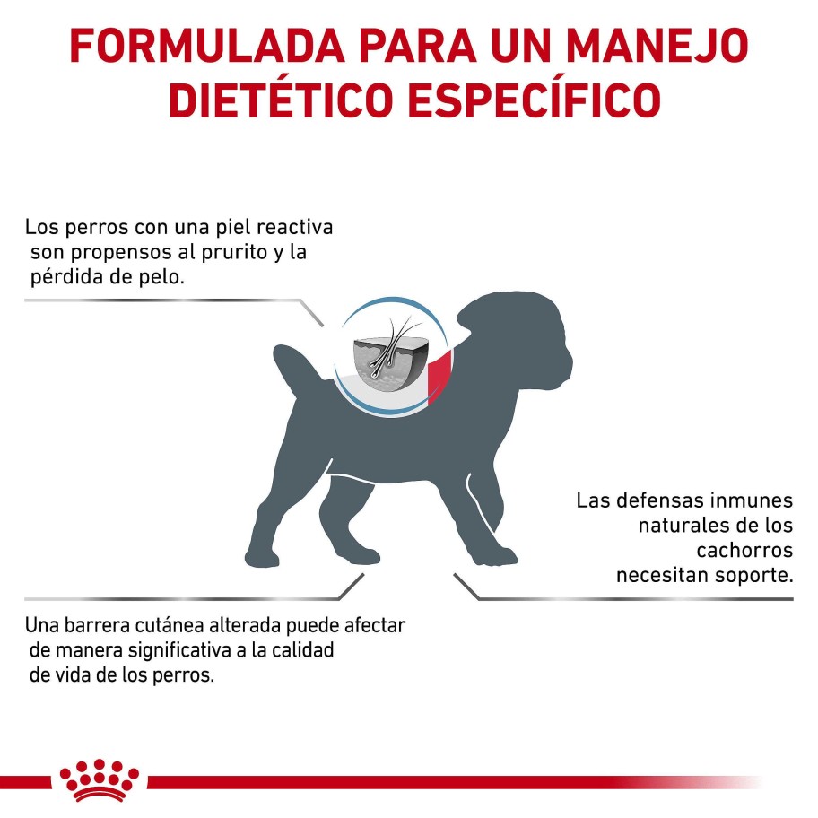 Perros Royal Canin | Royal Canin Skin Care Puppy Small Dog Alimento Seco Para Cachorros De Razas Peque As