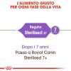 Gatos Royal Canin | Royal Canin Sterilised 37 Pienso Para Gato Esterilizado Adulto