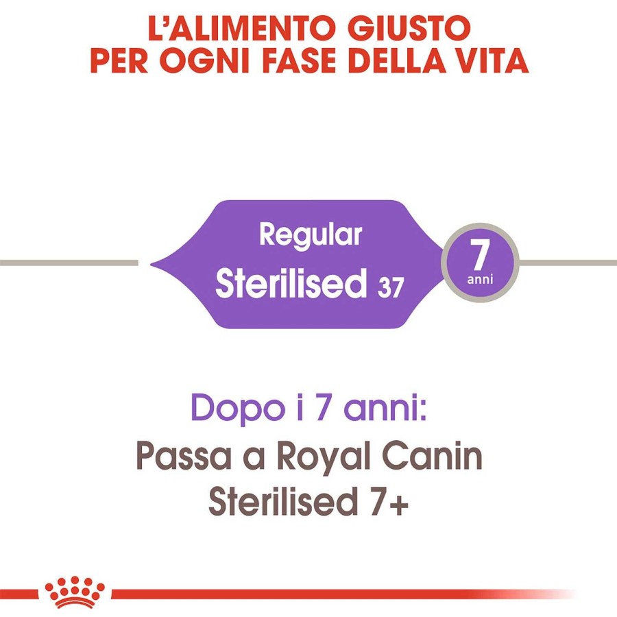 Gatos Royal Canin | Royal Canin Sterilised 37 Pienso Para Gato Esterilizado Adulto