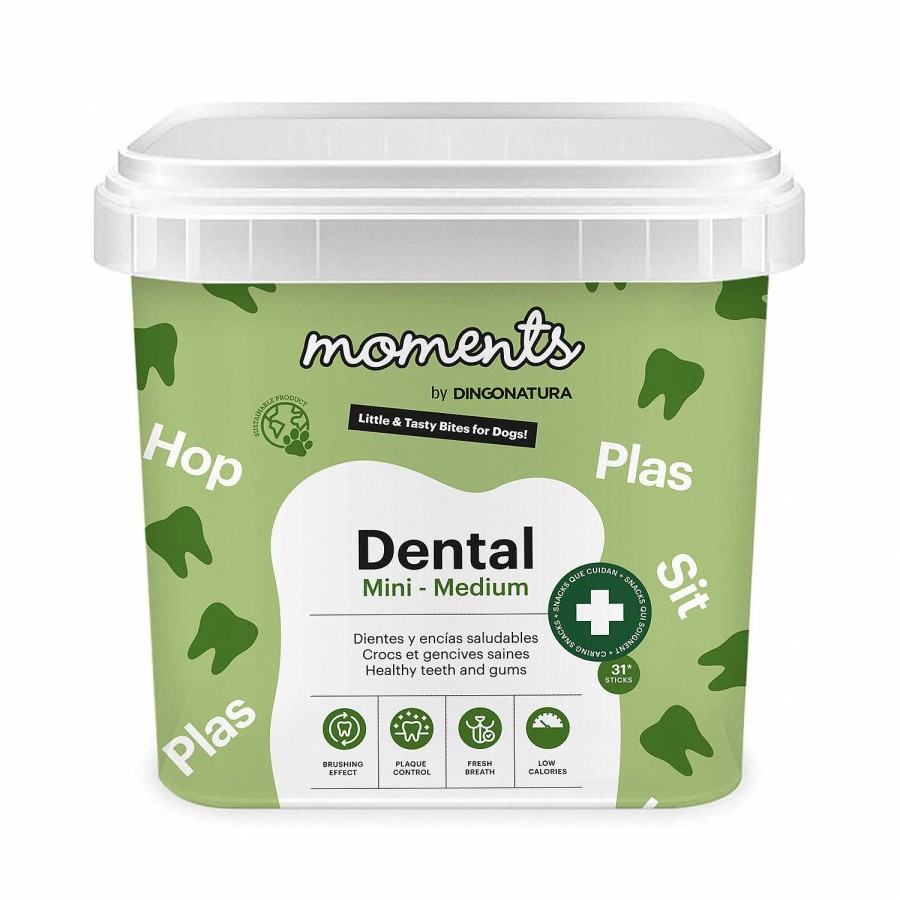 Perros Dingo | Moments Dog Dental Mini-Medium