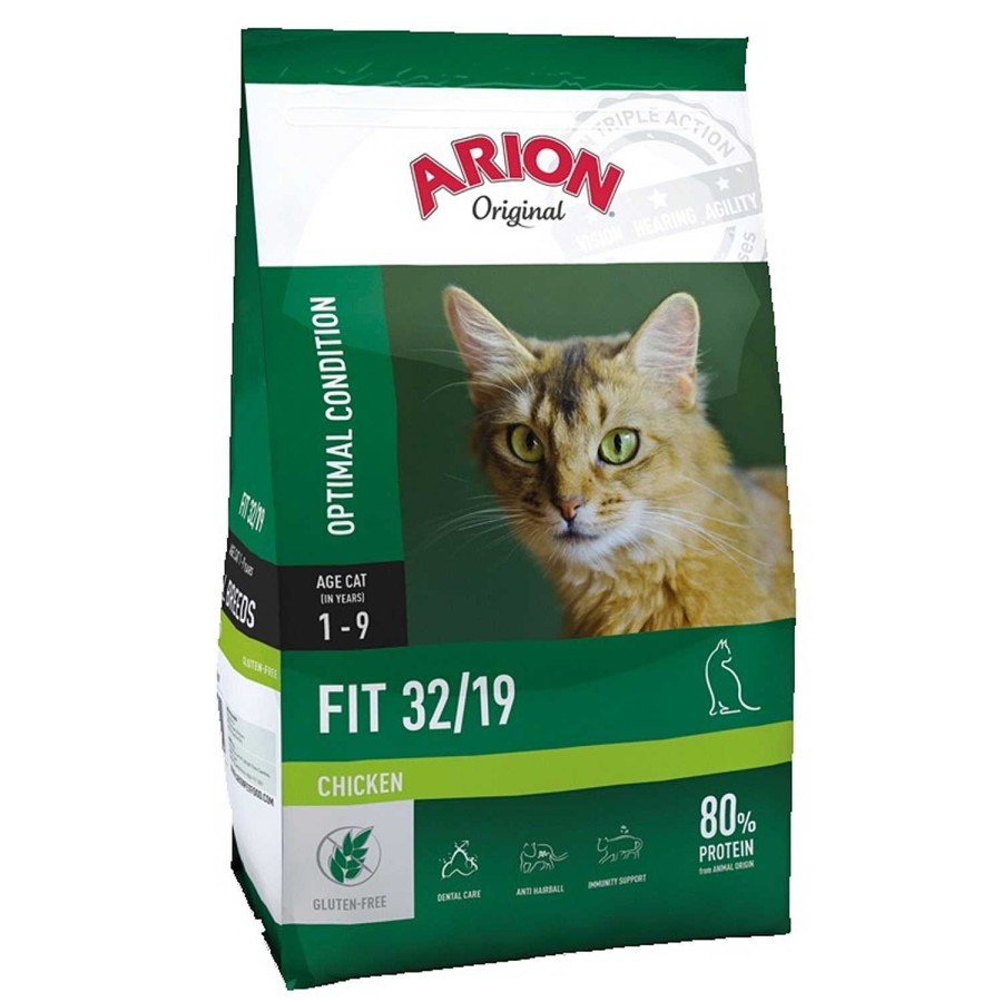 Gatos Arion | Arion Original Fit 32/19