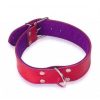 Perros Arppe | Collar Cuero Superfelt Color