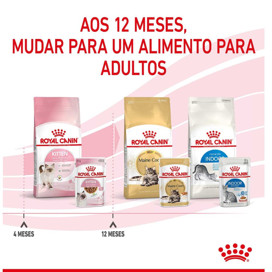 Gatos Royal Canin | Royal Canin Kitten Comida H Meda En Gelatina Para Gatitos