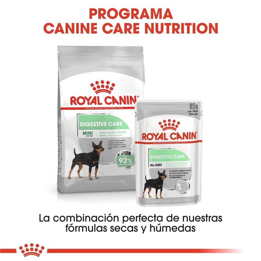 Perros Royal Canin | Royal Canin Mini Digestive Pienso Para Perro Adulto Peque O Con Sensibilidad Digestiva